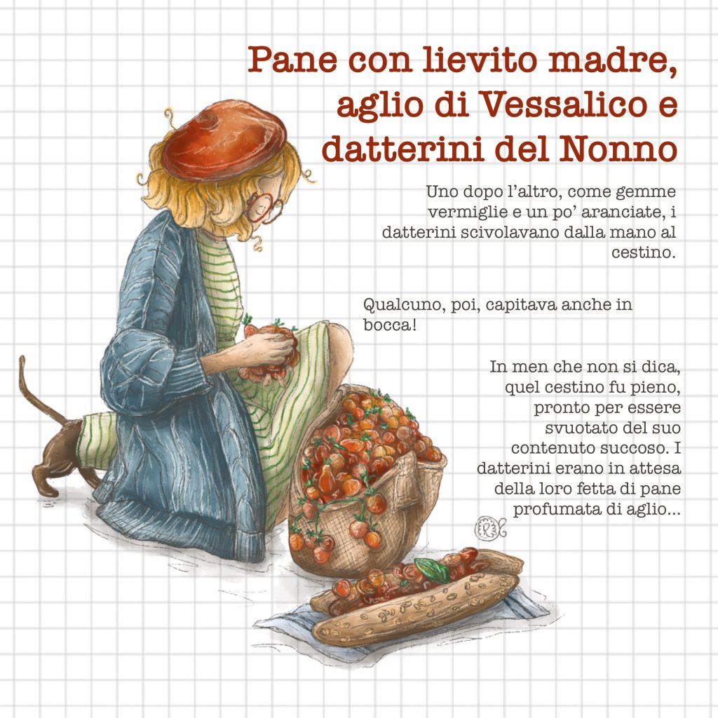 Illustrazione Pomodori datterini aglio Vessalico pane lievito madre