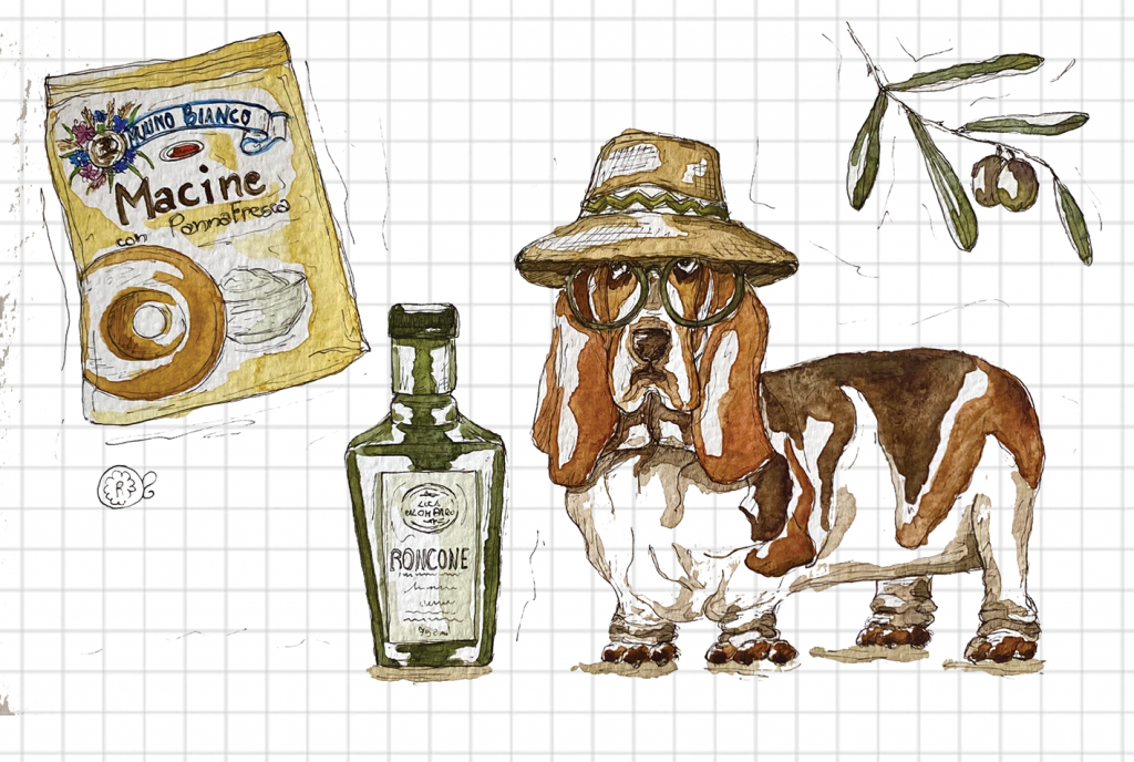 Macine Mulino Bianco olio d'oliva cane illustrazione